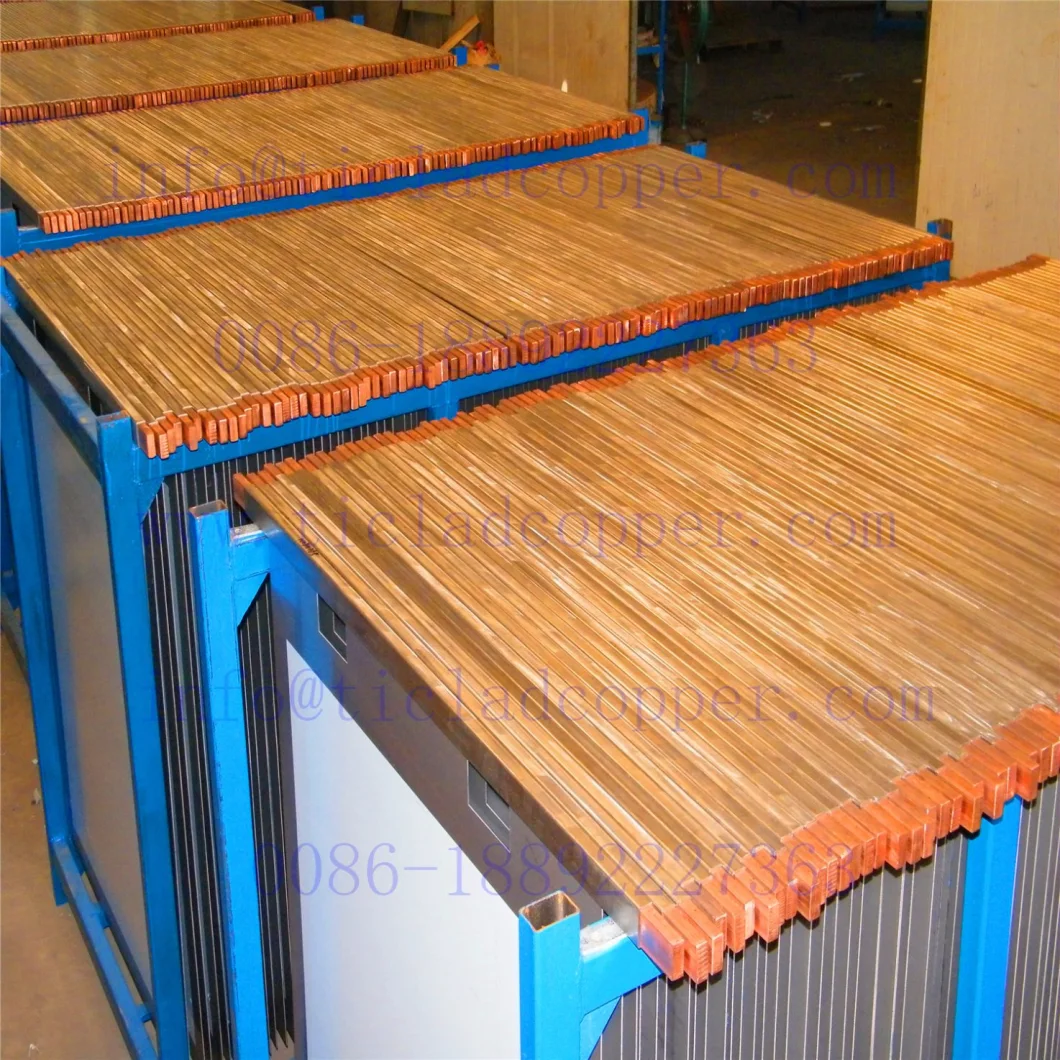 Titanium Starting Plate for Met Metallurgy/ Steel Clad Copper Bar/ Cathode Sheet